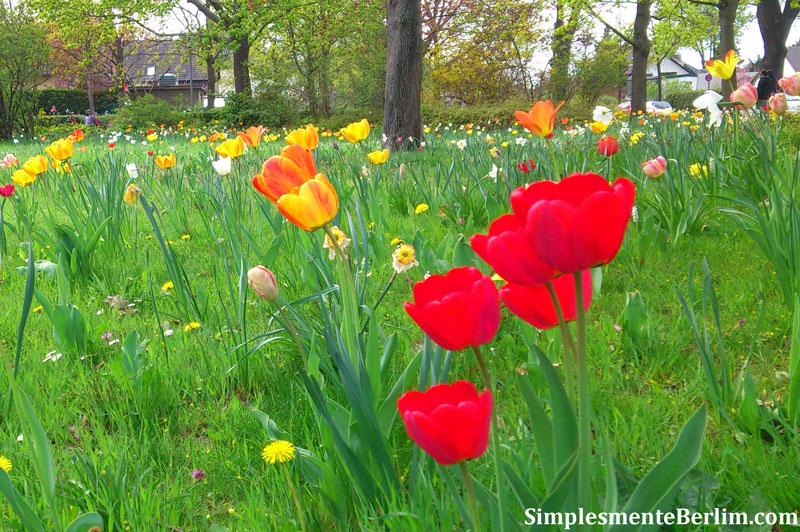 Primavera em Berlim