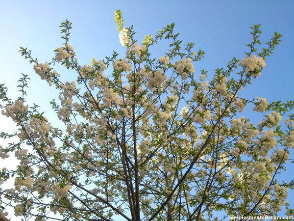 Primavera em Berlim. Berlim além das áreas turísticas