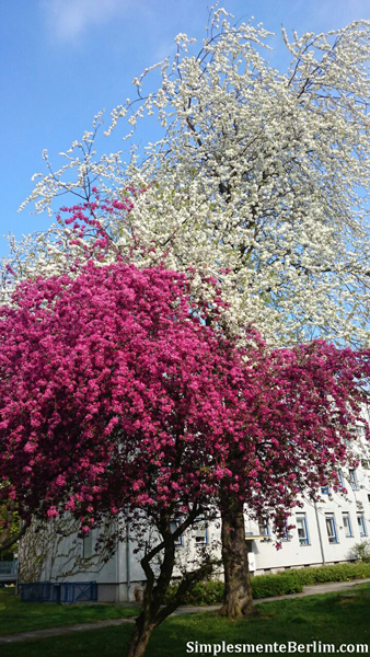 Primavera em Berlim. Berlim além das áreas turísticas