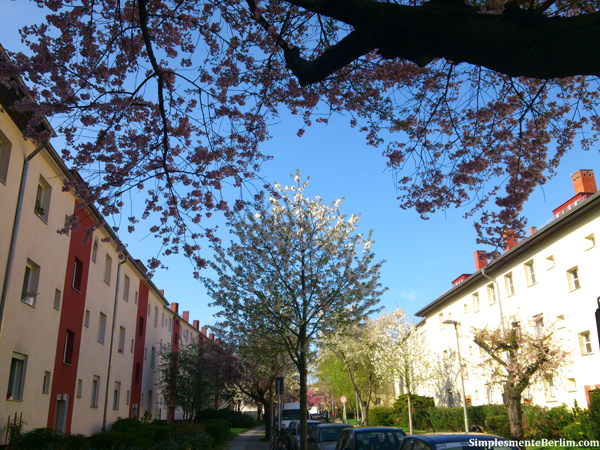 Primavera em Berlim. Berlim além das áreas turísticas