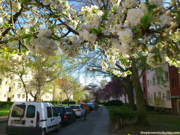Primavera em Berlim. Berlim além das áreas turísticas