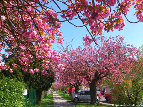 Primavera em Berlim. Berlim além das áreas turísticas