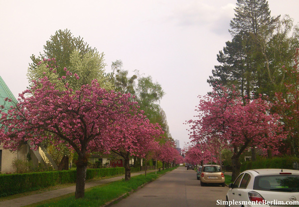 Primavera em Berlim. Berlim além das áreas turísticas