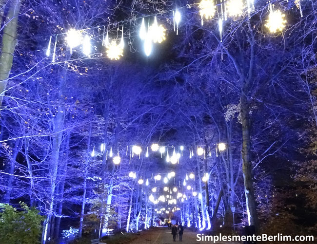 Christmas Garden no Jardim Botânico de Berlim (clique na imagem para ampliar) ChristmasGardenBerlimJardimBotanico_CaminhoLuzesAzuis