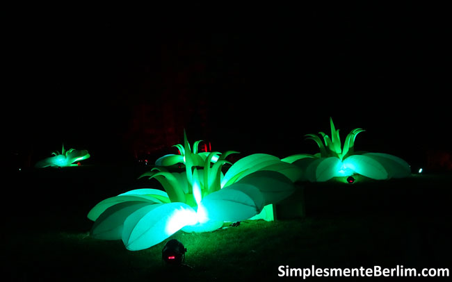 Christmas Garden no Jardim Botânico de Berlim (clique na imagem para ampliar) ChristmasGardenBerlimJardimBotanico_FloresInflaveis