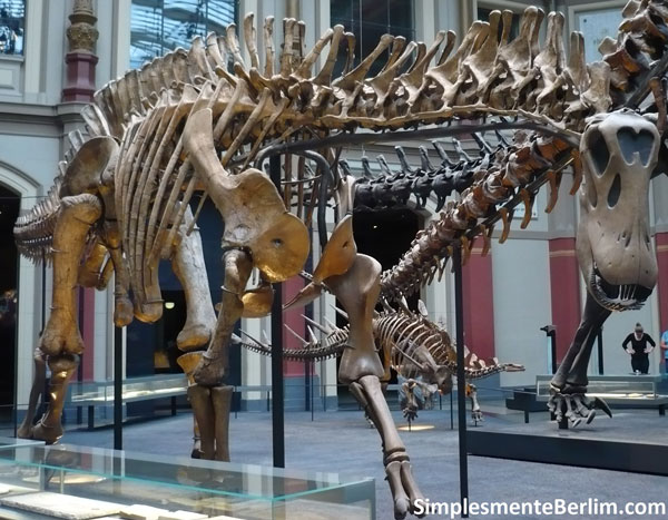 Museu de História Natural de Berlim OQueFazerComCriancasEmBerlim_MuseuHistoriaNatural