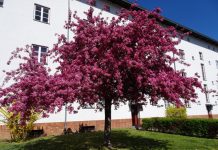 Primavera 2020 em Berlim
