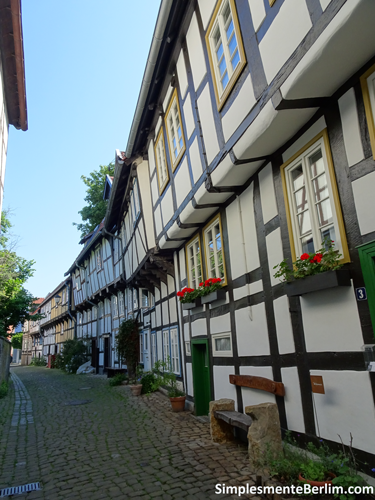 Floresta de Teutoburgo - Detmold